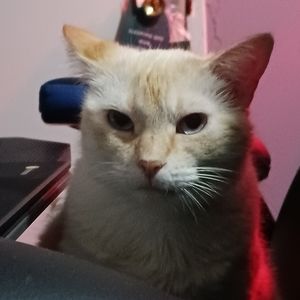 Meet your Posher, Aden